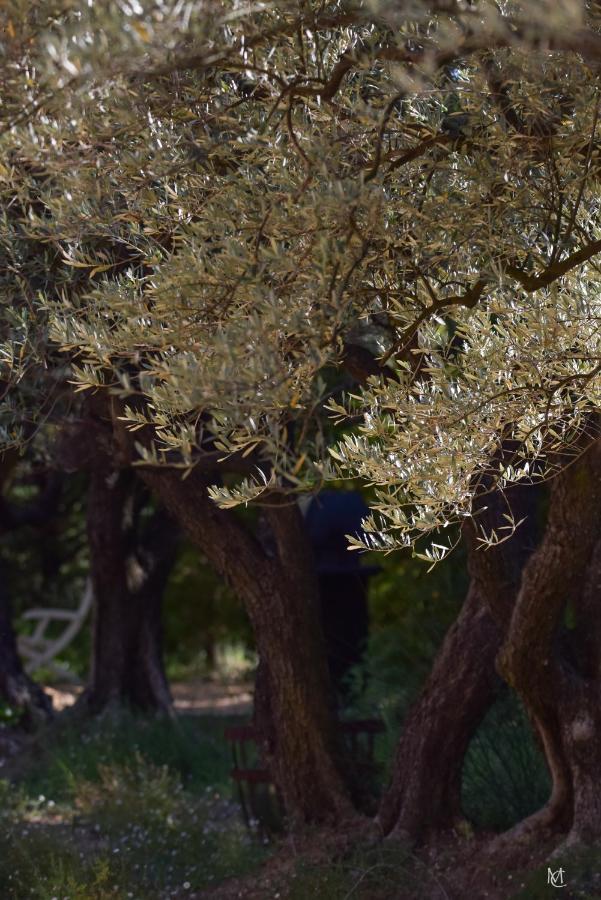 Le Mas Carre Séguret Buitenkant foto